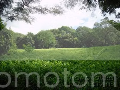 Terreno en Venta Carretera Sur, Managua - Imagen 4