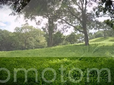 Terreno en Venta Carretera Sur, Managua - Imagen 6