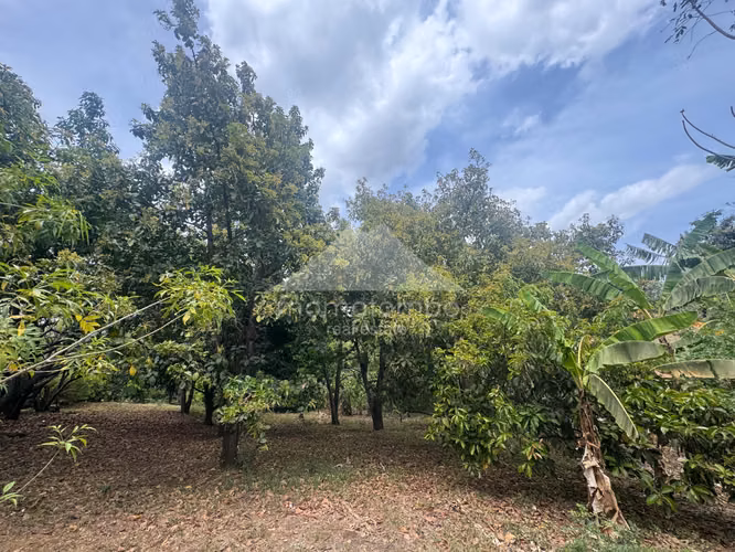 Terreno en Venta Santo Domingo, Managua - Imagen 8