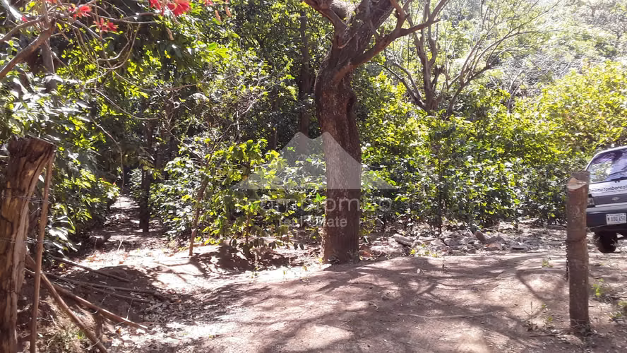 Finca en Venta El Cañon, El Crucero