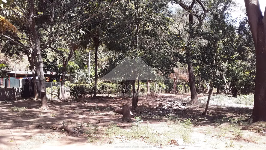 Finca en Venta El Cañon, El Crucero