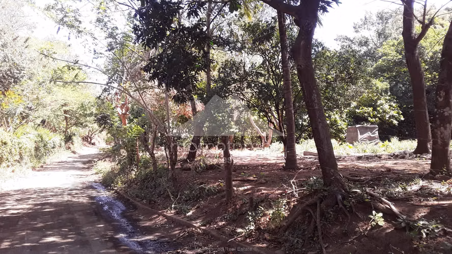 Finca en Venta El Cañon, El Crucero