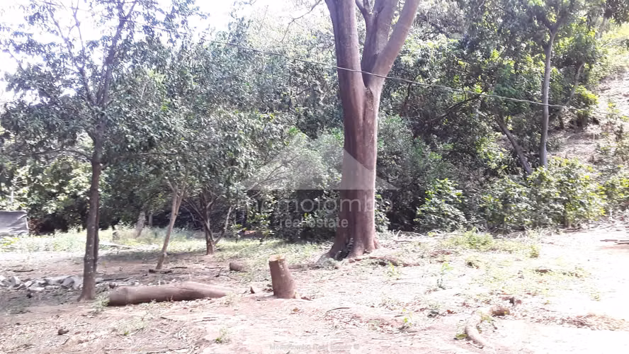 Finca en Venta El Cañon, El Crucero
