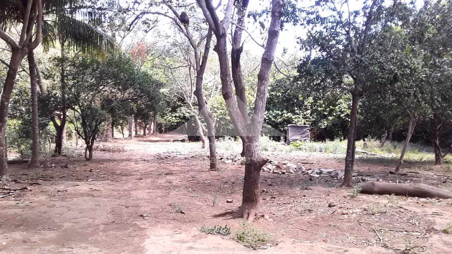 Finca en Venta El Cañon, El Crucero