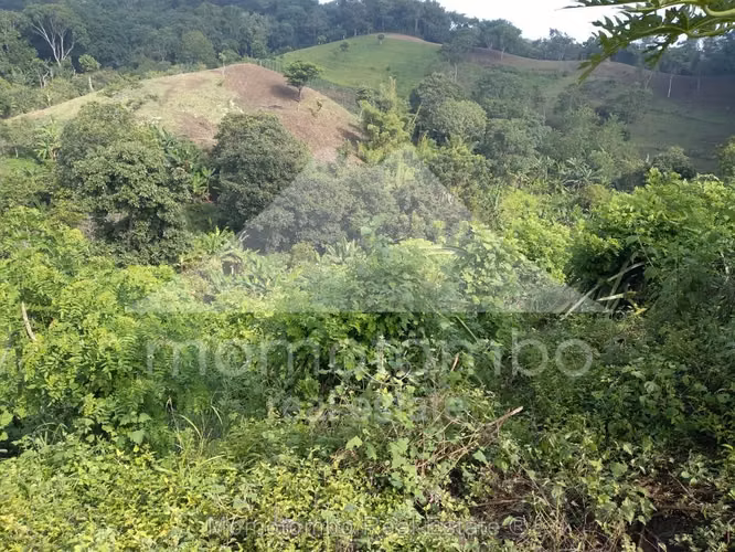 Finca en Venta La Curva, Niquinohomo