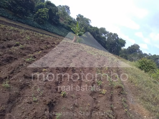 Finca en Venta La Curva, Niquinohomo