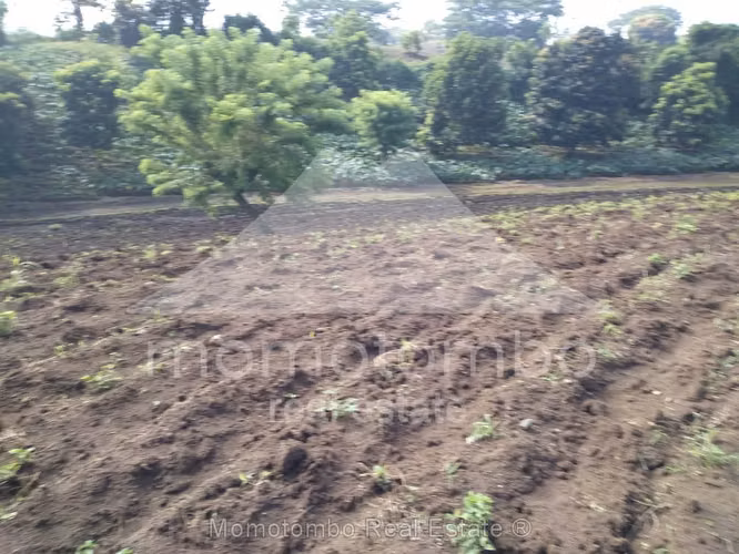 Finca en Venta La Curva, Niquinohomo