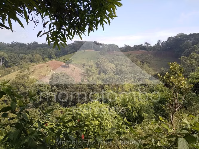 Finca en Venta La Curva, Niquinohomo