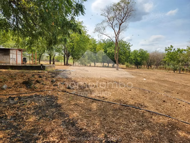 Terreno en Venta Carretera Tipitapa Masaya, Tipitapa - Imagen 5
