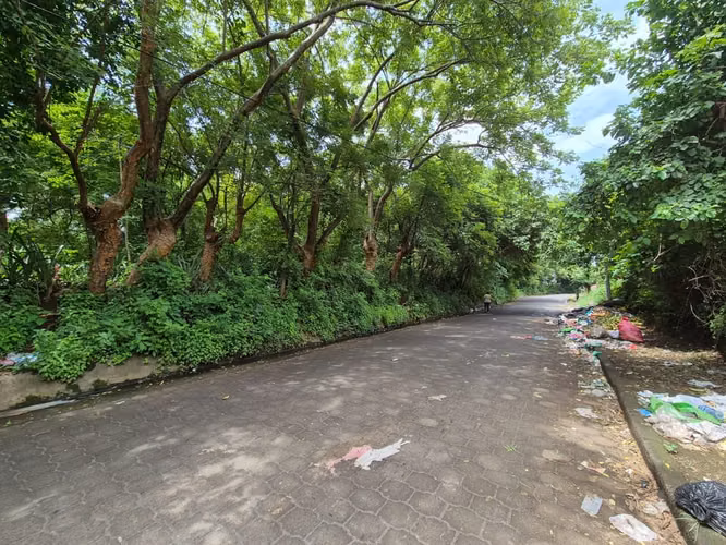 KW  !! Venta, terreno de 3  manzanas en Carretera Masaya !! - Imagen 2