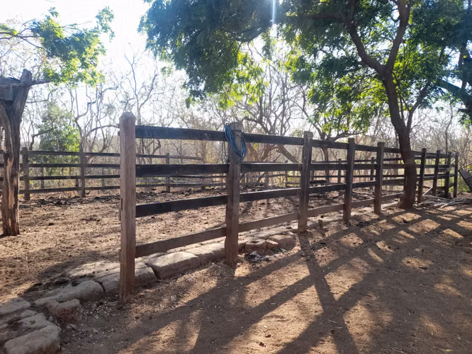 SE VENDE FINCA DE 75 MANZANAS.