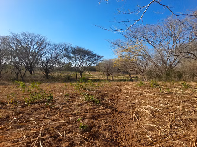 SE VENDE FINCA DE 75 MANZANAS.