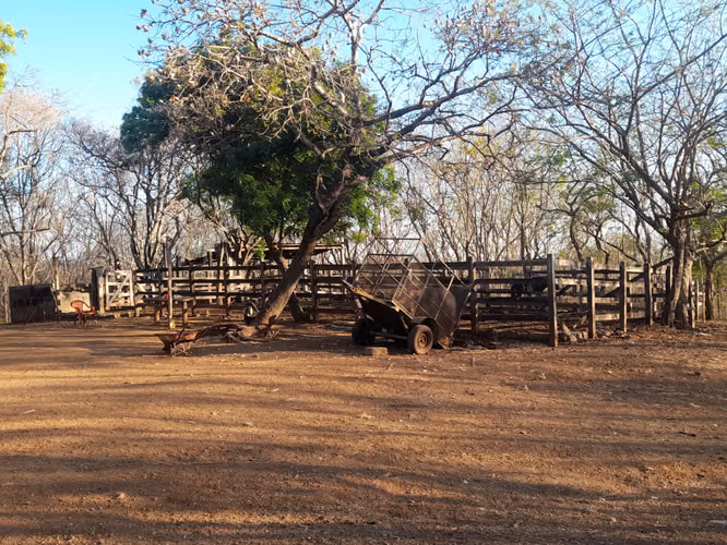 SE VENDE FINCA DE 75 MANZANAS.