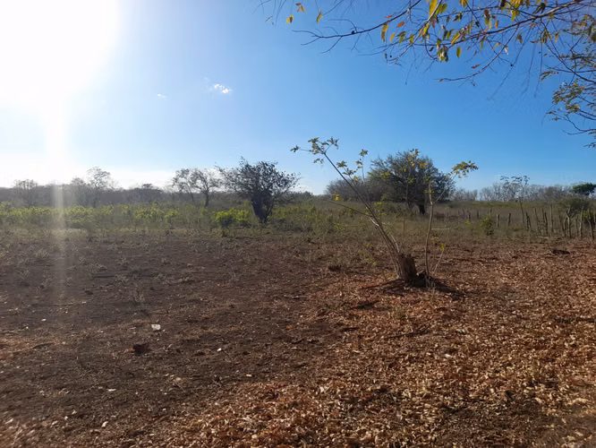 SE VENDE FINCA DE 75 MANZANAS.