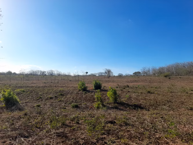 SE VENDE FINCA DE 75 MANZANAS.