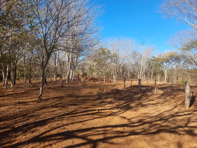 SE VENDE FINCA DE 75 MANZANAS.