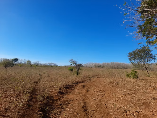SE VENDE FINCA DE 75 MANZANAS.