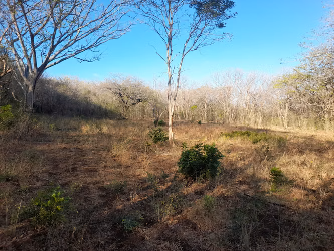 SE VENDE FINCA DE 75 MANZANAS.