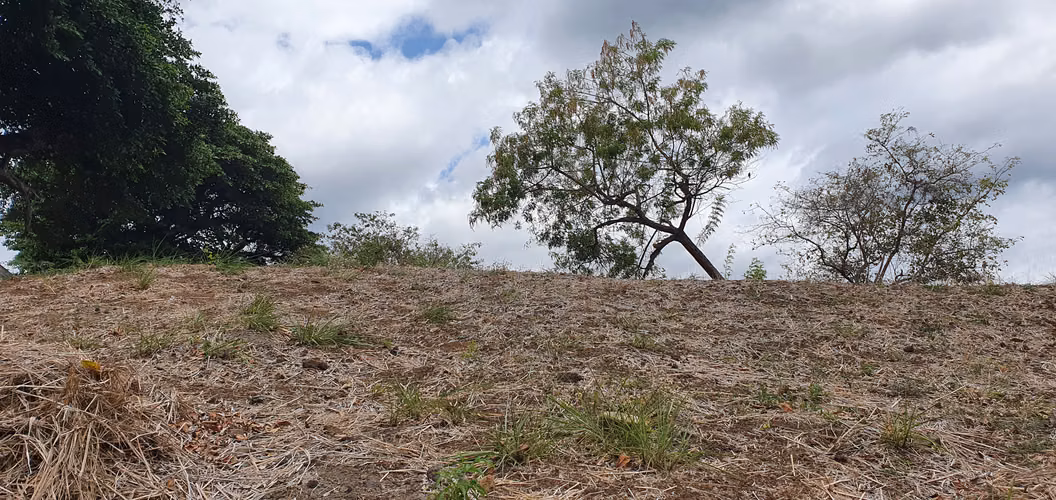 Venta de terreno en Exclusivo Residencial en Altos de Ticomo - Imagen 3
