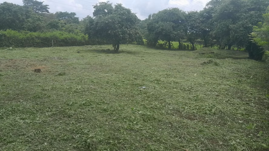 EB-Vendo terreno en Carretera Pacayita-Masaya - Imagen 8
