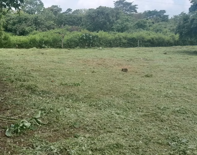 EB-Vendo terreno en Carretera Pacayita-Masaya