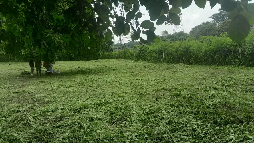 EB-Vendo terreno en Carretera Pacayita-Masaya - Imagen 6