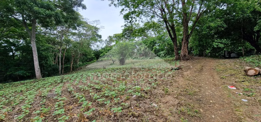 Terreno en Venta Camino A Jocote Dulce, Managua - Imagen 9