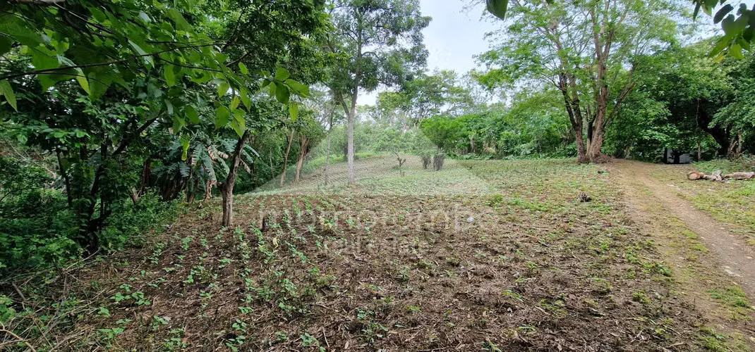 Terreno en Venta Camino A Jocote Dulce, Managua - Imagen 5