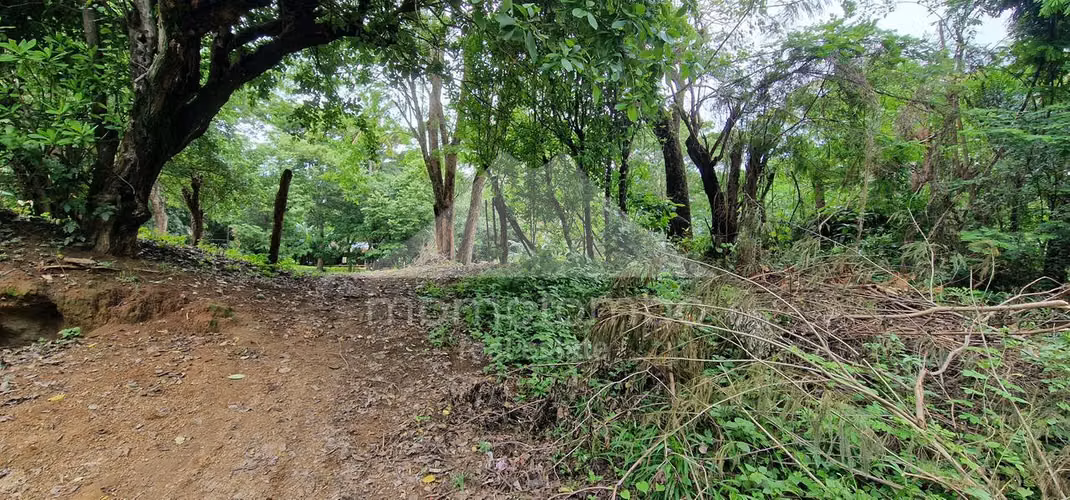 Terreno en Venta Camino A Jocote Dulce, Managua - Imagen 2