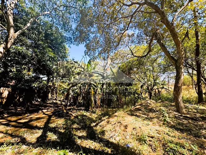 Terreno en Venta Camino A Jocote Dulce, Managua - Imagen 5
