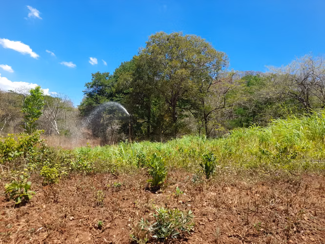 SE VENDE FINCA GANADERA DE 390 MANZANAS.