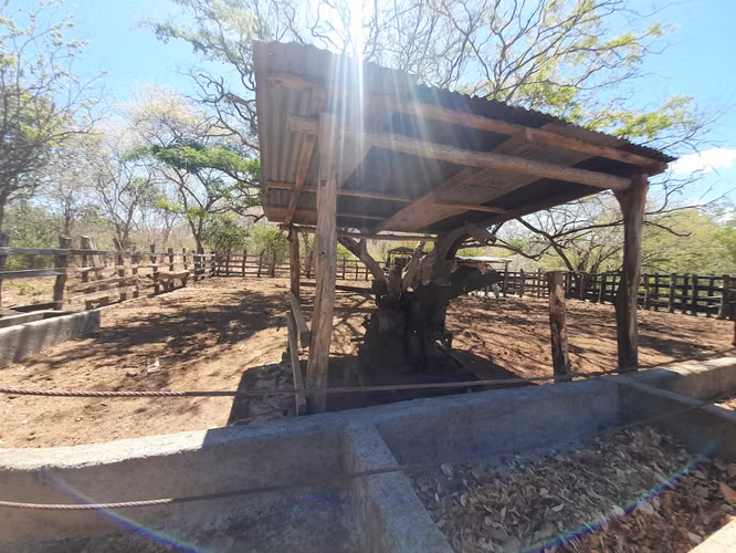 SE VENDE FINCA GANADERA DE 390 MANZANAS.