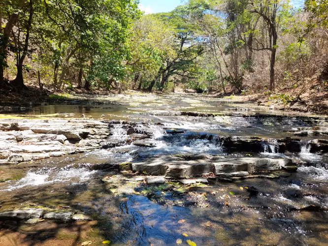 SE VENDE FINCA GANADERA DE 390 MANZANAS.