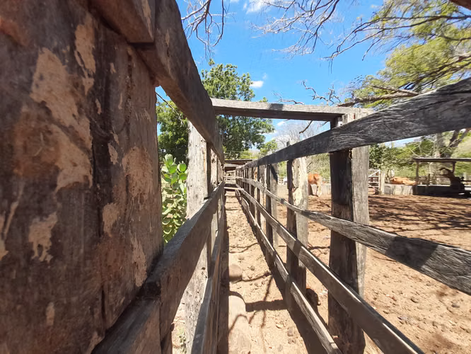 SE VENDE FINCA GANADERA DE 390 MANZANAS.