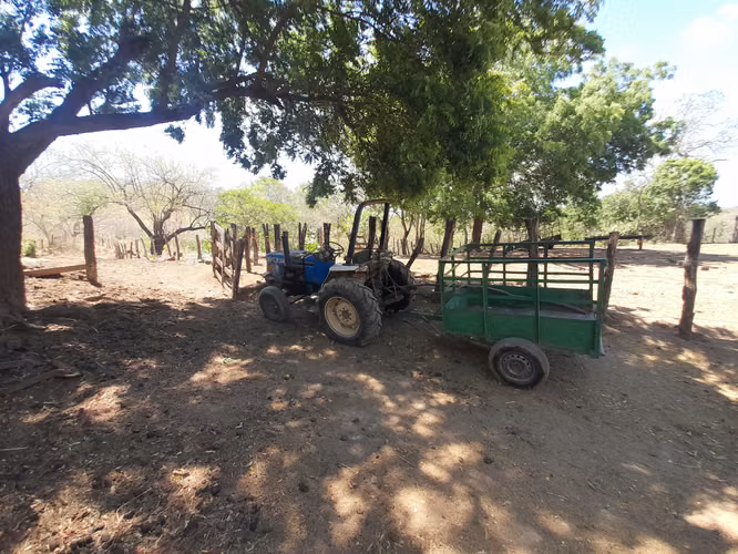 SE VENDE FINCA GANADERA DE 390 MANZANAS.