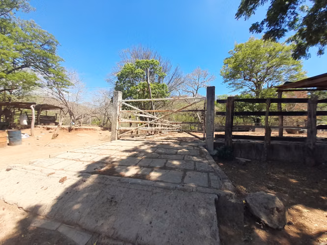SE VENDE FINCA GANADERA DE 390 MANZANAS.
