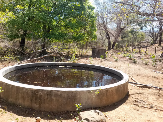 SE VENDE FINCA GANADERA DE 390 MANZANAS.