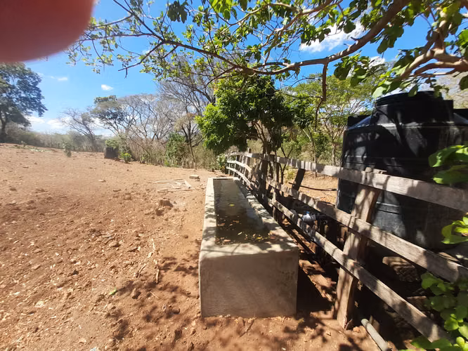 SE VENDE FINCA GANADERA DE 390 MANZANAS.