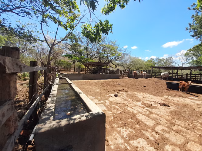 SE VENDE FINCA GANADERA DE 390 MANZANAS.