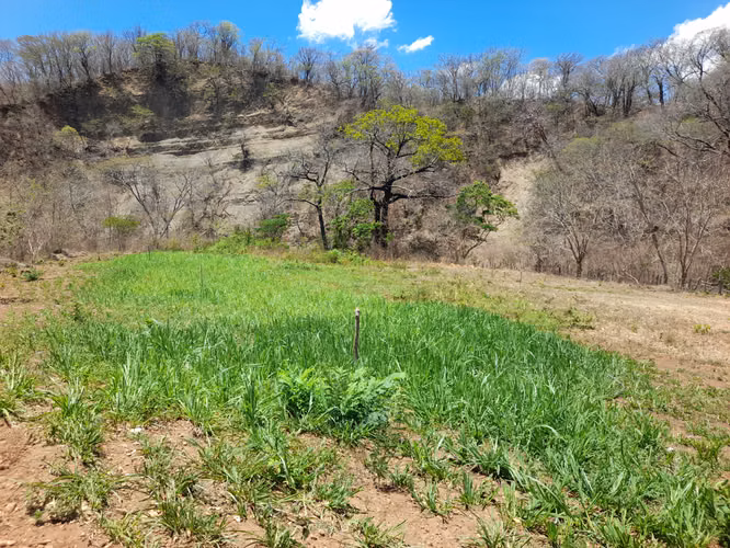 SE VENDE FINCA GANADERA DE 390 MANZANAS.