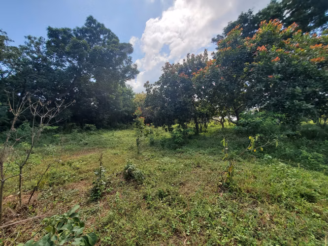 AP-Vendo quinta en Tisma km 36