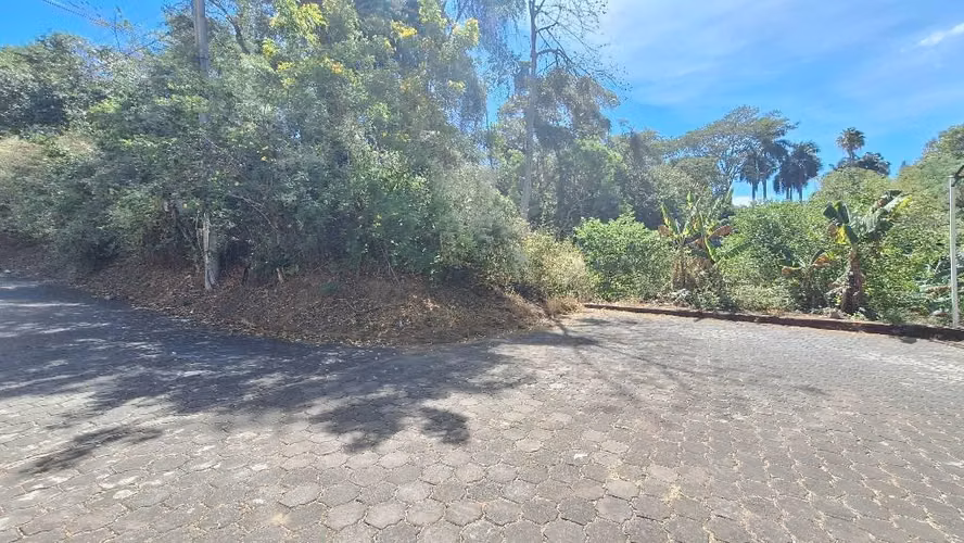 Vendo terreno en villa fontana sur - Imagen 4