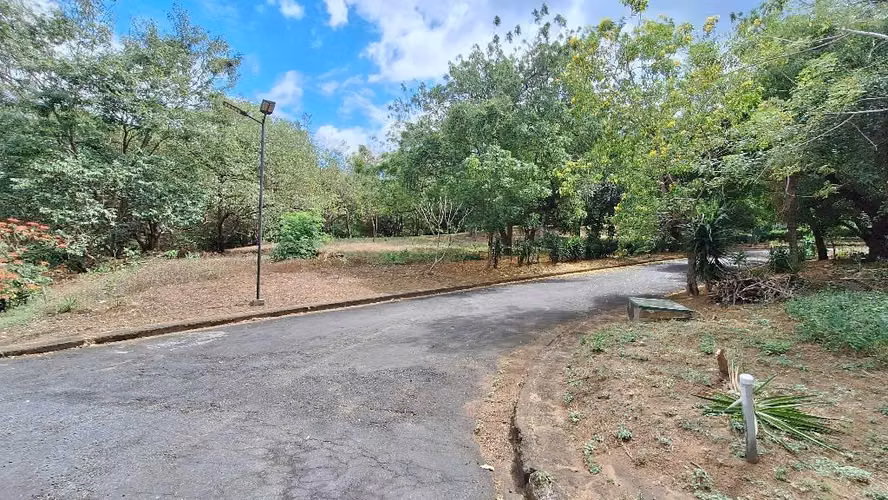 Se venden 3 lotes en condominio Sto domingo - Imagen 5