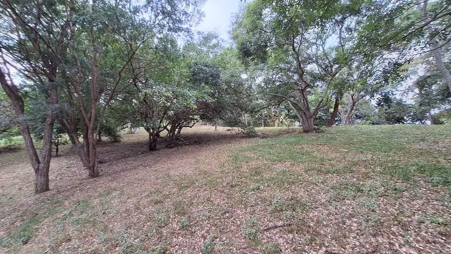 Se venden 3 lotes en condominio Sto domingo - Imagen 12