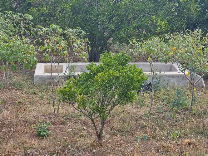 VENTA DE FINCA PRODUCTIVA EN COMARCA LAS CRUCITAS, NIQUINOHOMO ml - Imagen 6