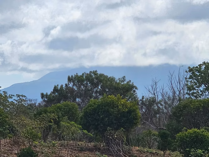 VENTA DE FINCA PRODUCTIVA EN COMARCA LAS CRUCITAS, NIQUINOHOMO ml - Imagen 13