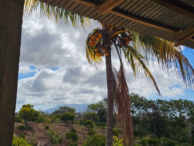 VENTA DE FINCA PRODUCTIVA EN COMARCA LAS CRUCITAS, NIQUINOHOMO ml - Imagen 12