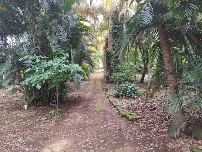 Venta de Terreno de 15,850 v² Camino a la Hoyada en Santo Domingo - Imagen 7