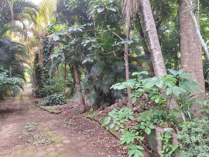 Venta de Terreno de 15,850 v² Camino a la Hoyada en Santo Domingo - Imagen 6