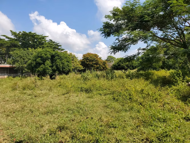 NO-Vendo quinta en Tisma km 36 - Imagen 8